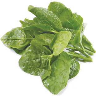 大木耳菜种子圆叶四季新鲜种籽青菜肉厚夏天四季阳台盆栽蔬菜种子