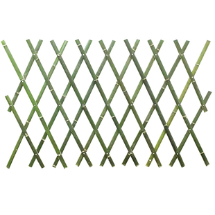 竹篱笆栅栏菜园庭院子护栏围墙隔断花园林绿化户外围栏乡村伸缩网