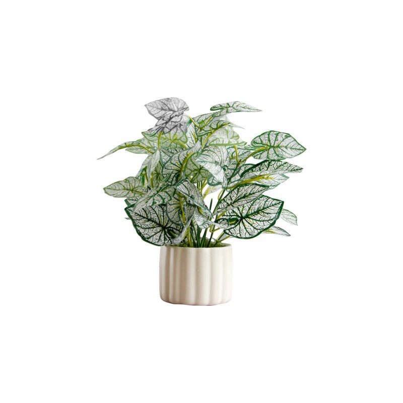 仿真植物小盆栽装饰摆件