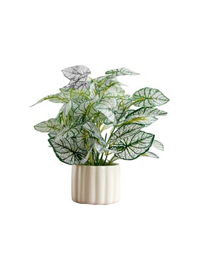 仿真植物小盆栽装饰摆件
