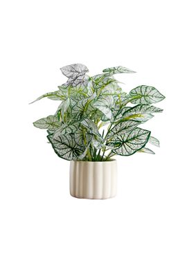 仿真植物小盆栽装饰摆件