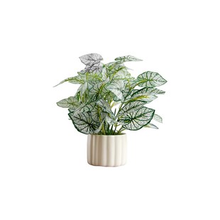 北欧风仿真植物盆栽装饰摆件客厅室内办公室桌面盆景仿生假花绿植