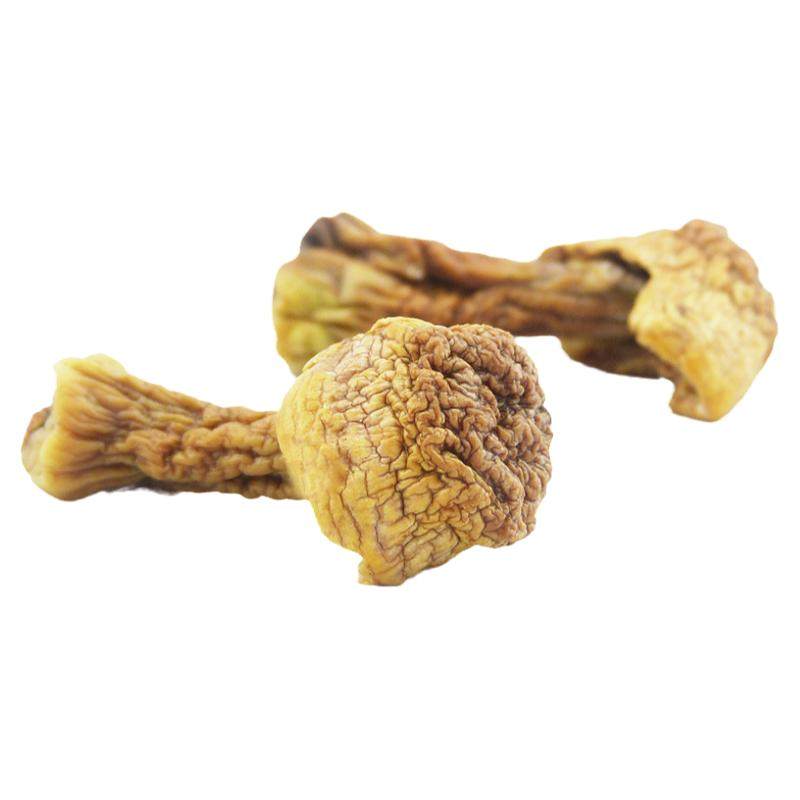 长白山姬松茸新鲜干货长白山特产