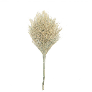 小竹扫把大扫把环卫马路扫大街的家用庭院子加大扫帚竹制工地户外