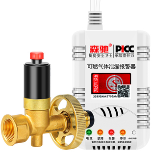 燃气安全阀煤气罐泄漏报警器自动切断阀商用饭店液化气泄露警报器
