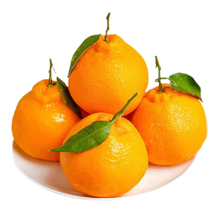 四川春见耙耙柑橘子新鲜水果9斤整箱丑八怪橘子粑粑桔子包邮柑橘