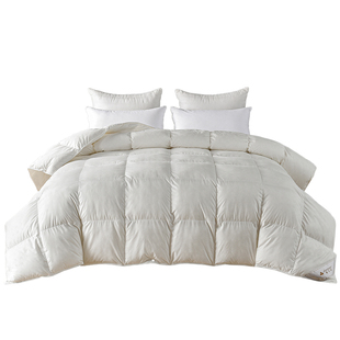 雅芳婷白鹅绒冬季双人被子冬季保暖95绒羽绒冬被蓬松被子被芯