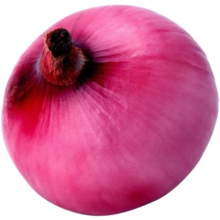 紫皮圆葱春秋冬四季盆栽种籽蔬菜种孑秋播红皮洋葱种子禾之元种业