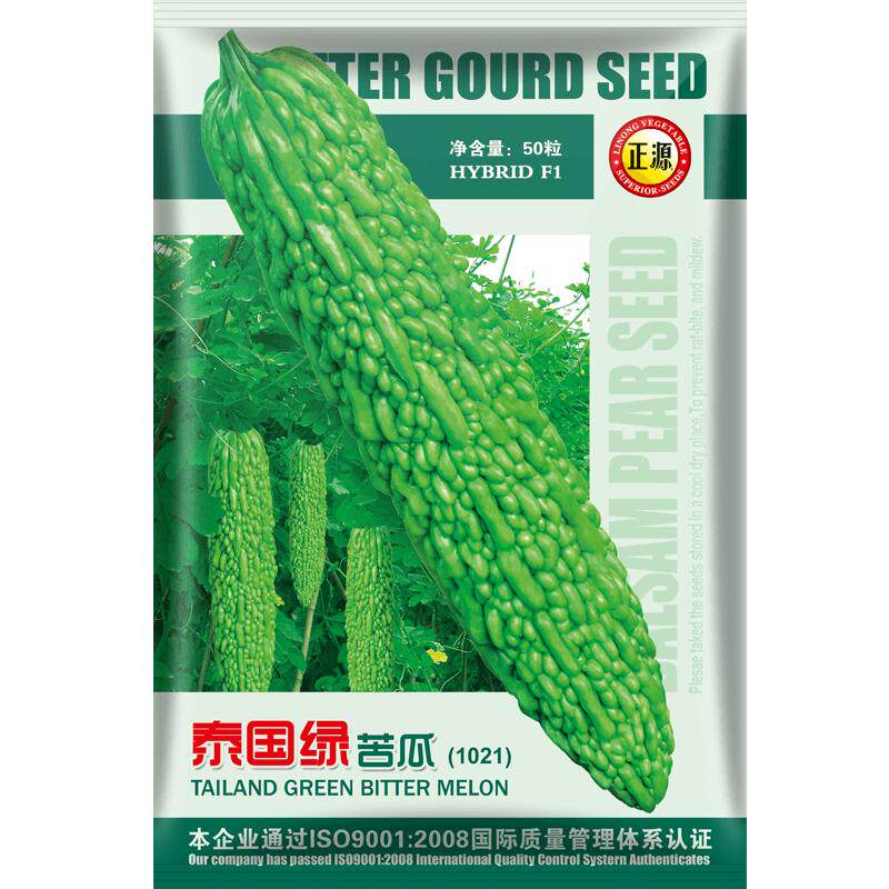 蔬菜泰国疙瘩庭院苦瓜种子