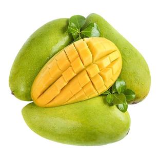 正宗金煌芒芒果9斤 水仙芒果现摘热带新鲜水果甜心芒特大整箱包邮