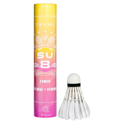 细枝鹅拉直羽毛突出飞行稳定