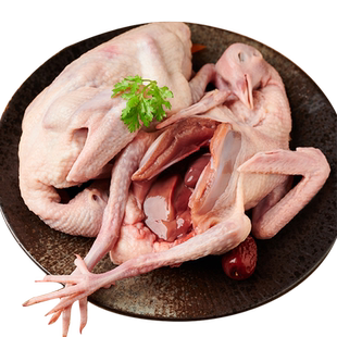 鸽子新鲜现杀乳鸽生鲜非老鸽子土鸽子鸽子肉鸽子炖汤农家土鸽子4