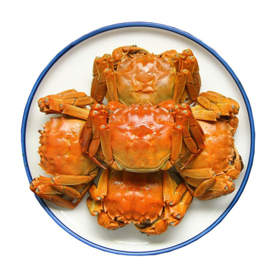 【活蟹】江苏大闸蟹鲜活螃蟹特大蟹4.5两母精品全母蟹河蟹礼盒