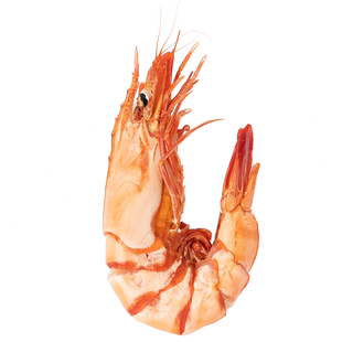 虾如意虾王九节虾干虾老大巨无霸即食烤虾干500g袋装新鲜海鲜干货