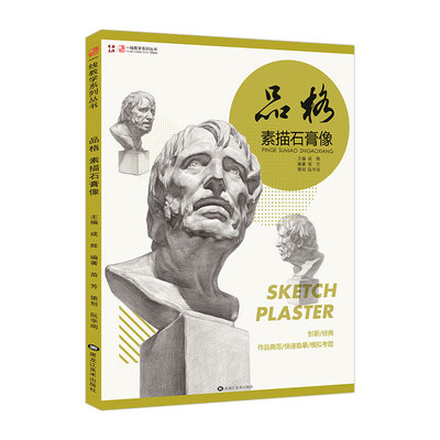 品格素描石膏像一线教学苗芳编