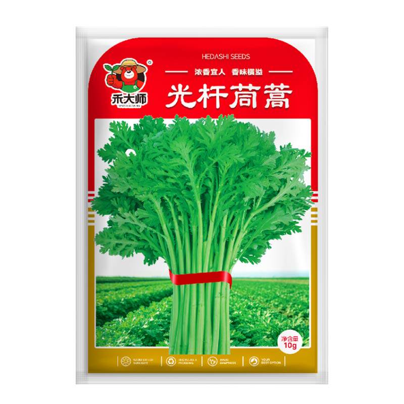 浓香型光杆茼蒿种子菜籽小院蔬菜种子籽四季可种易活高产庭院地栽