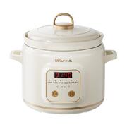 小熊热水快炖煲汤煮粥电炖锅