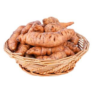 鲜生地2500克焦作怀地黄新鲜地髓地黄鲜地黄饮子鲜生地鲜地黄5斤