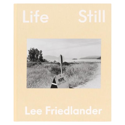 LeeFriedlanderLifeStill