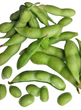 菜毛豆种子日本青黄豆早熟高产鲜食豆 农家春夏季四季播种蔬菜籽