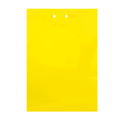 家用黄色粘虫板双面强力