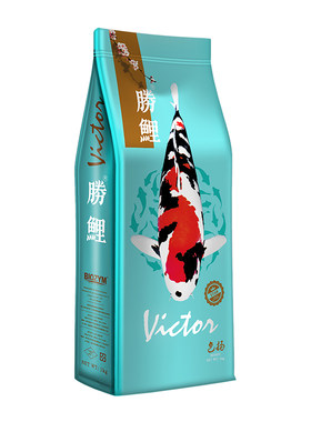 百因美育成色扬家用不浑水锦鲤
