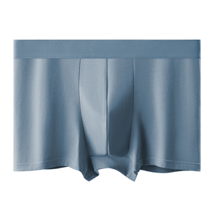 都市丽人男士内裤男生纯棉四角短裤新款舒适透气抑菌平角短裤男式