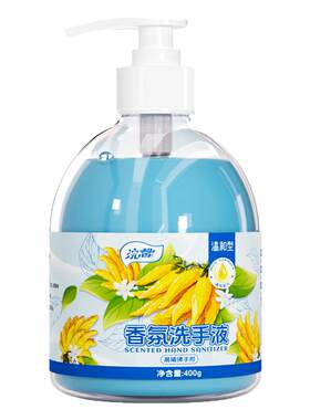 家用佛手柑香氛洗手液400g水润洁净泡沫绵密家庭装手部清洁实惠装