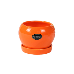 多肉小花盆陶瓷套装组合北欧风简约创意圆形客厅彩色糖果色带托盘