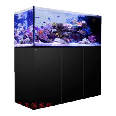 redsea红海隔断式海缸海水珊瑚
