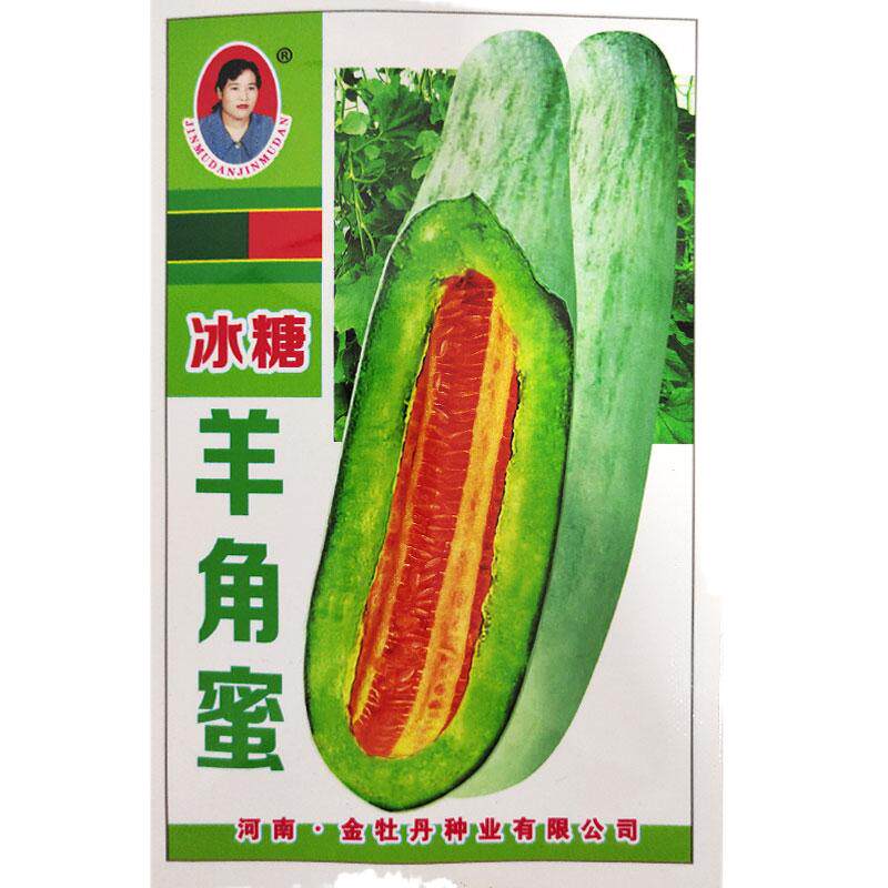 羊角蜜甜瓜种孑脆酥香瓜早熟高产甜度高阳台菜园四季蔬果菜种子籽