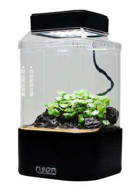 水陆微景观玻璃盆景CUNZO免维护