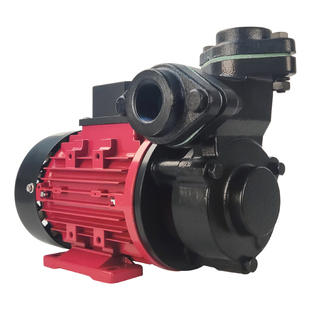 大洲TS-63/71高温油泵模温机热油循环泵耐高温280°C油泵导热油泵