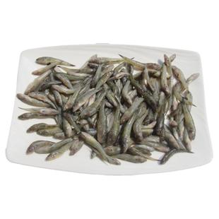 生鲜食品野生山坑鱼小龙鱼小鱼仔冷冻水产冰鲜山溪鱼6份21省包邮