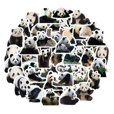 50张可爱国宝大熊猫个性防水贴纸