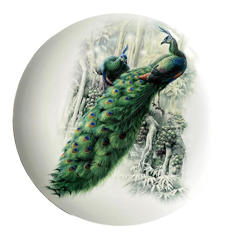 新中式瓷盘科学插画绿孔雀