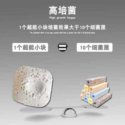 珊瑚骨滤材鱼缸过滤材料鱼池珊瑚石底砂水族箱造景沙稳定净化水质