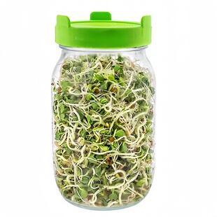 家用大容量梅森瓶发芽罐水培芽菜西兰花苜蓿加厚玻璃育苗罐水培瓶