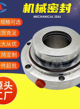 ZWQEMZ-700-B4-550 ZWSW-125-U2U2VFF 强制循环泵机械密封