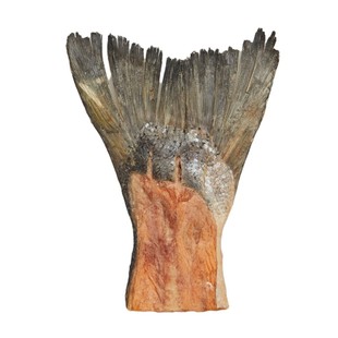 狗狗零食冻干三文鱼尾泰迪金毛磨牙棒洁齿补钙小中大型犬肉干骨头