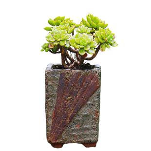 奇德复古个性手工麦饭石盆粗陶花盆块根盆陶土泥瓦透气多肉绿植盆