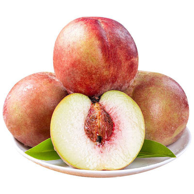 放不软脆桃新鲜桃子硬甜桃水蜜桃5斤10应当季孕妇水果现摘发整箱