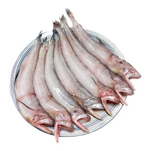 精品龙头鱼新鲜冷冻海生鲜活水产舟象山特产九肚鱼丝丁水潺豆腐鱼