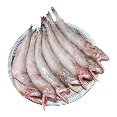 精品新货豆腐鱼龙头鱼新鲜无冰衣