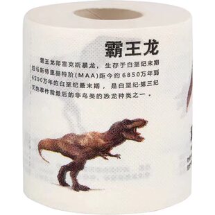 学霸恐龙百科儿童知识卷筒卫生纸宝宝启蒙卫生纸卡通卫生纸精致筒