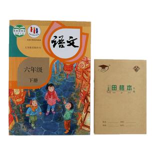 金儿博士36k田格本9格12行田字格本小学生标准作业本标准款练字本
