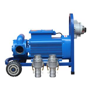 大流量抽油泵220V380V汽油加油泵防爆静音1.5寸2寸3寸自吸滑片泵