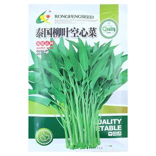 空心菜籽种秧苗三叉通心菜种籽子小竹柳叶大四季带根带土青菜春天