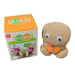 开花草头娃娃桌面儿童种植小盆栽植物种子发芽生长头上长草种草