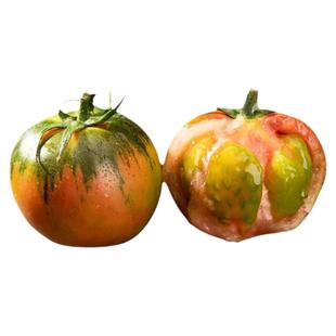 盐碱地铁皮柿子黑盖西红柿果园现摘草莓番茄新鲜孕妇水果顺丰包邮